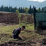 cukura-dusen-yavru-kopegi-a-takimi-kurtardi.jpg