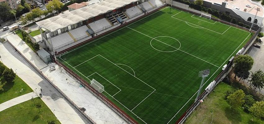 liglere-fifa-standardi.jpg
