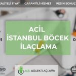 Böcek İlaçlama Nedir? Fiyatları ne kadar?
