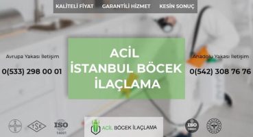 Böcek İlaçlama Nedir? Fiyatları ne kadar?