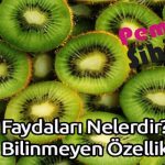 Kivinin Faydaları Nelerdir